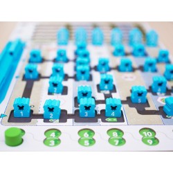 PAMPERO + EXPAS: CIELO DESPEJADO y NATURALEZA