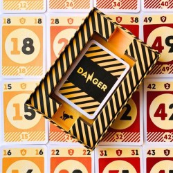 DANGER - The Hgih Voltage Game